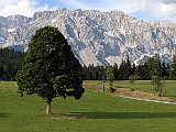 Aussicht vom Steirerhof