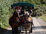 Kutschfahrt