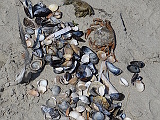Schmuck fürs Sandschiff